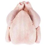 QUALITY HALAL WHOLE FROZEN CHICKEN FROM BRAZIL