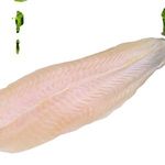 Best Selling Fish Fillet with Premium Frozen Quality Fish/pangasius/Tilapia/Catfish and Others From Vietnam