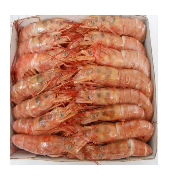 Buy Fresh Frozen Shrimp Seafood at Unbeatable Low Prices Perfect for Cooking Delicious Meals and Seafood Dishes