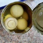 New Crop Canned Mushroom Whole ,Canned Mushroom PNS Canned Vegetable Canned Food