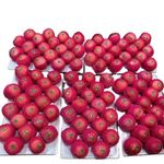 Factory Manufacturer Fresh Fruit Fuji apple for Sell Cheap Fuji apple