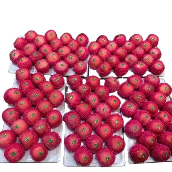 Factory Manufacturer Fresh Fruit Fuji apple for Sell Cheap Fuji apple