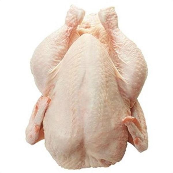 High Quality HALAL Frozen Whole Chicken From Brazilian Wholesale Frozen Chicken Breast From Brazil