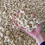 THE BEST SELLER FROM VIETNAM WHOLESALE CASHEW NUTS WW320 W240 LOWEST MS JANNIE 0963766939