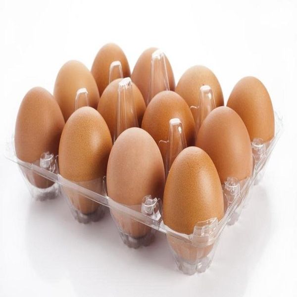 Wholesale Supplier of Fresh Eggs Brown and White Chicken Eggs
