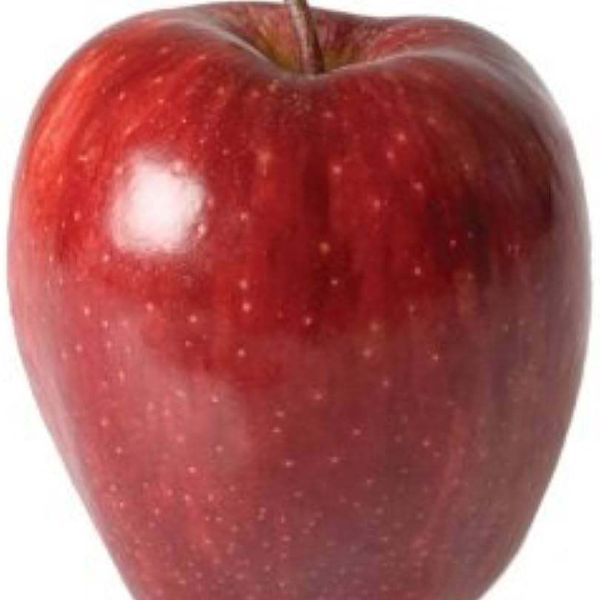 Natural Organic Non-GMO New Produce Fresh Green and Red Apples for Sale