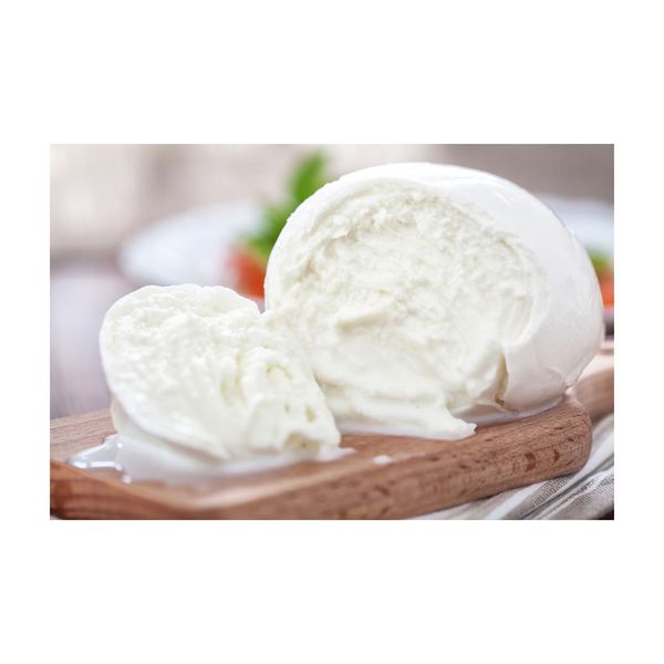 Fresh Mozzarella Cheese Provides a Soft, Smooth Texture Available for Purchase in Bulk at Affordable Rates