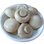 HACCP HALAL KOSHER BRC OEM Brand Bulk Cheap Price Fresh Vegetable Health Best Canned Slices Mushroom 400g
