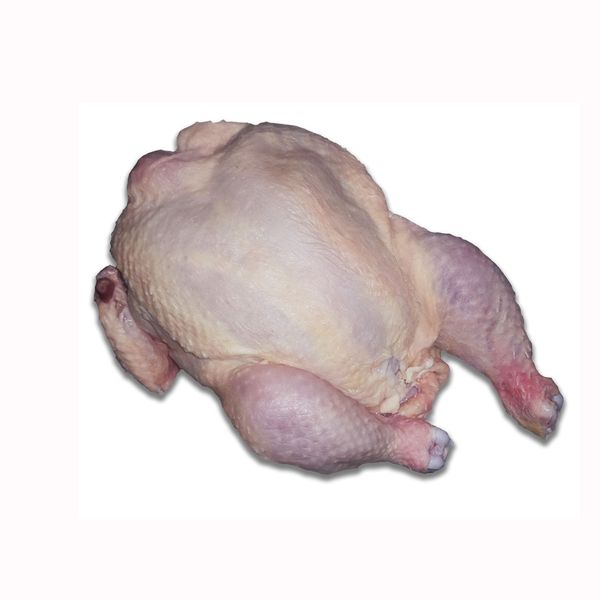 Top Selling Grade High Quality Low Price Fresh Frozen Whole Chicken Poultry Meat Frozen Whole Chicken From Brazil