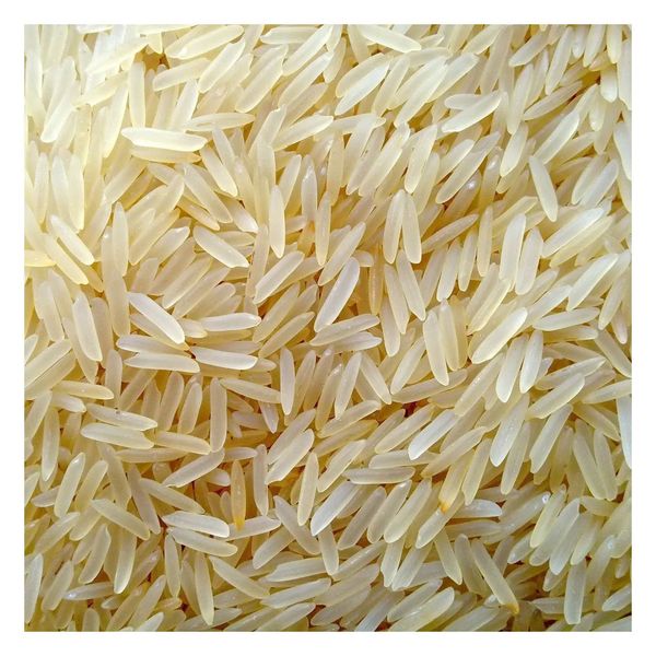 High Grade Quality Top Selling Basmati and Non Basmati Rice Rice Grain with Long Granules From Pakistan