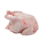 Hot Sale Low Price Frozen Whole Hen Chicken for Sale
