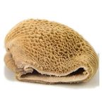 Proper Prices High Quality HALAL Frozen Beef Omasum Bulk Salted Beef and Dry Omasum for Sale High End Frozen Beef Tripe