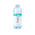 Wholesale Welle Mineral Water 500 Ml. in PET Bottle Premium Drinking Water Refreshing Manufacturers Water Drinking for Exporting