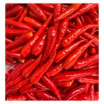 Fresh Chili Professional Team Fresh Vegetables Fresh Vegetable Spices Red Pepper Agricultural Made In Vietnamese Wholesale