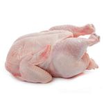 Best Price Frozen Halal Whole Chicken / Wholesale Supply Frozen Chicken / Buy Whole Frozen Halal Chicken