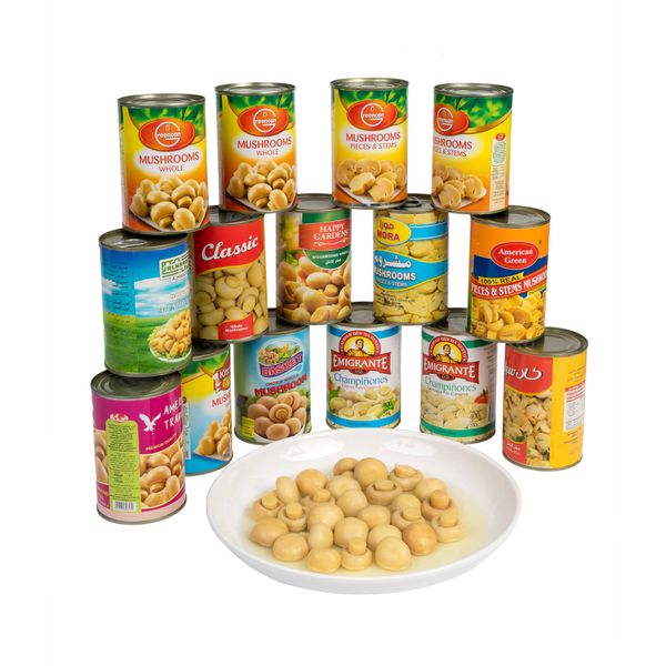 Top Grade Canned Mushroom Halal Canned Food Healthy Vegetable