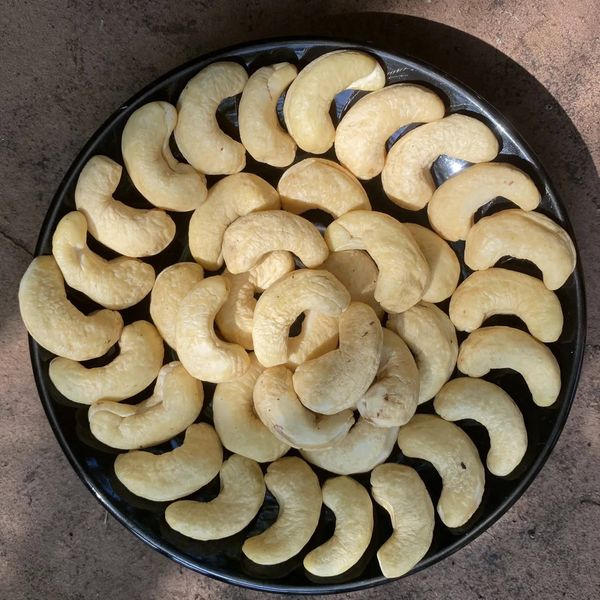 Vietnam Factory Supply Delicious Whole W320 Cashew Nuts for Snack Food With 24 Moths Shelf Life