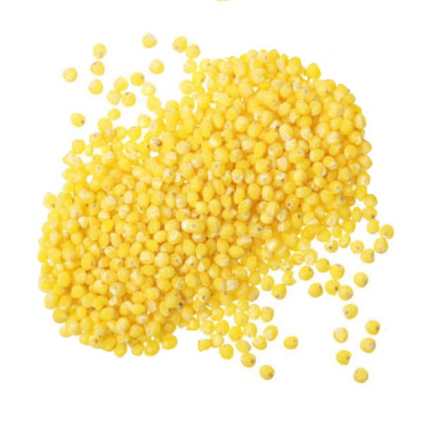 Authentic Organic Roasted Hulled Millet Directly From Kazakhstan's Producer Wholesome and Delicious Whole Grain for Bird Feed