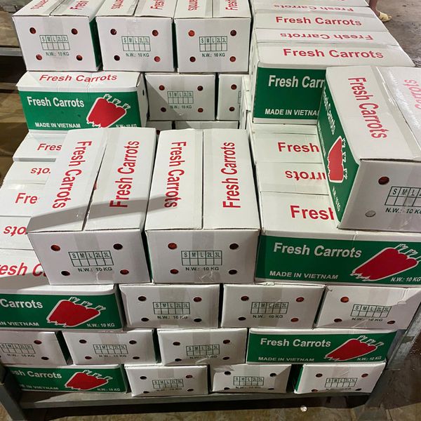 Wholesale Fruits And Vegetables From Vietnam Including Frozen Carrots And Fresh Vegetables For International Markets