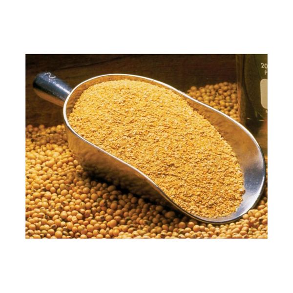 Non GMO Soybean Meal and Soya Bean Meal Ready to Supply Bulk Soybean Meal Organic Soymeal