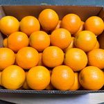 Fresh Citrus Fruit Export Orange Fruit Fresh Valencia Oranges Fresh