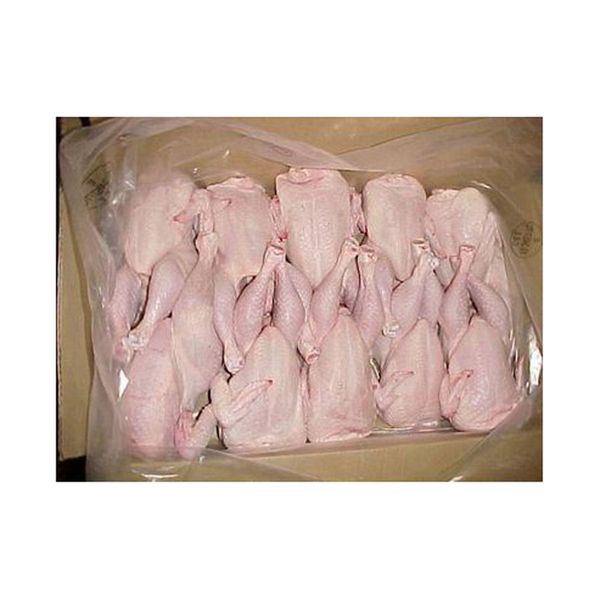 Wholesale Best Selling Chickens Frozen Halal Frozen Whole Chicken Whole Chicken Frozen Bulk Sales
