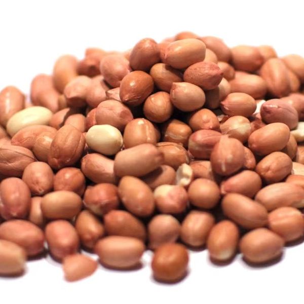 High Quality Organic Fresh Raw Ground Nuts Raw Peanuts in Shell in Bulk